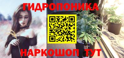 стаф Севастополь